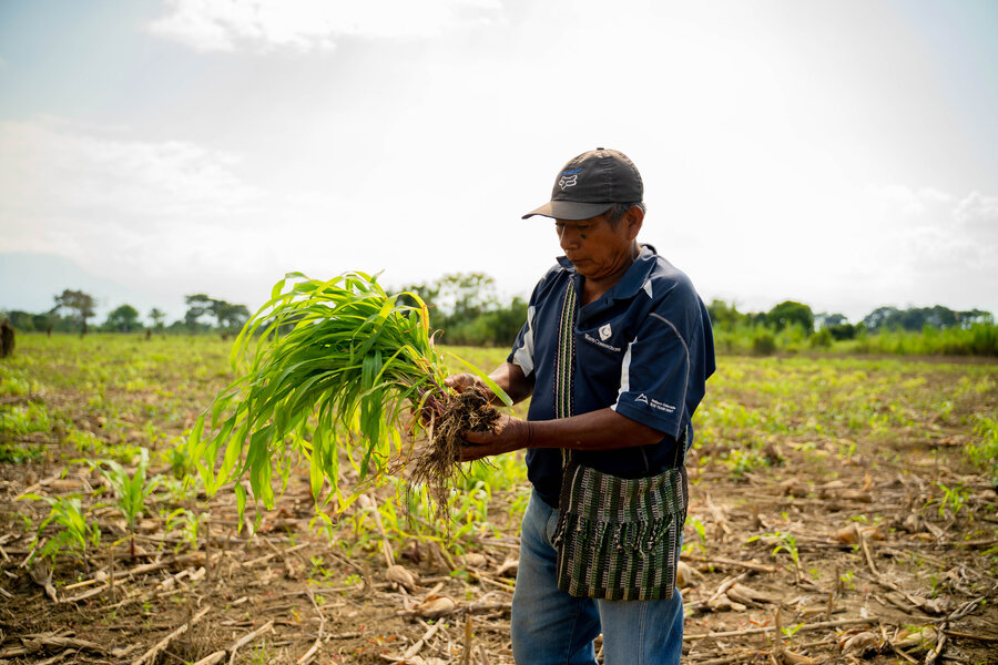 As El Niño intensifies floods and droughts, early action pays off