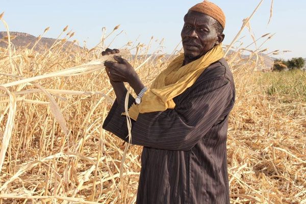 Allarme WFP e UNHCR: si aggrava la condizione dei rifugiati nel Sahel che soffre la fame