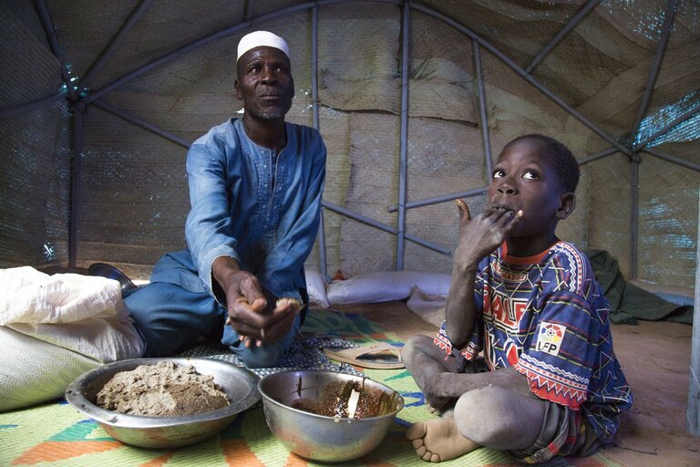 Sahel centrale: cosa significa vivere nella continua insicurezza. Conversazione con una analista della sicurezza.