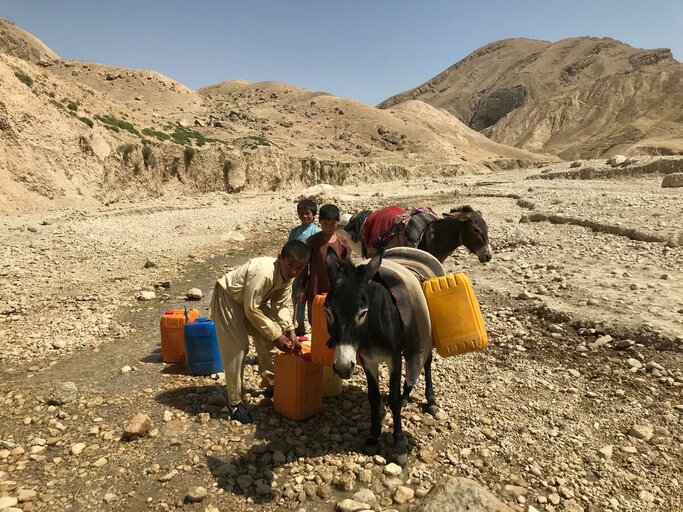 Solo 5 famiglie su 100 riescono a sfamarsi in Afghanistan