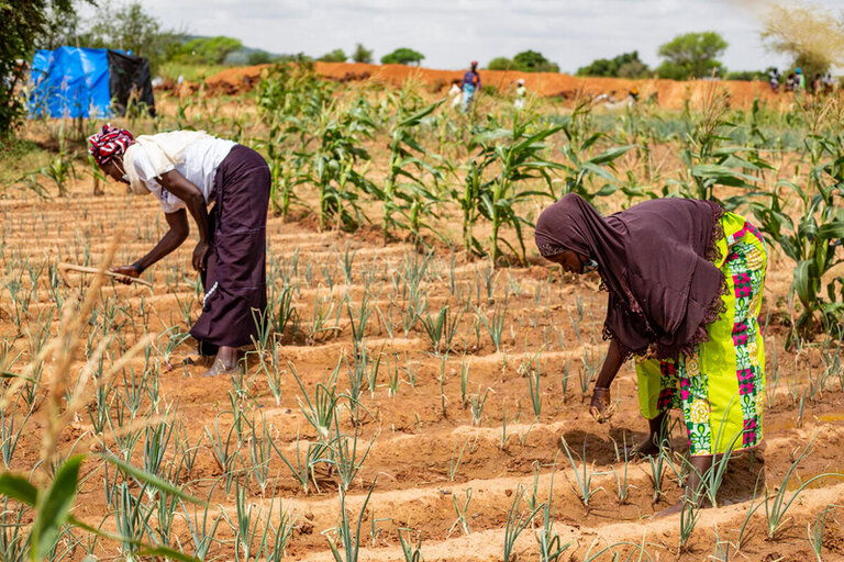 Crisi in Burkina Faso: l'Italia sostiene ulteriormente le attività del WFP di assistenza alimentare e costruzione della resilienza
