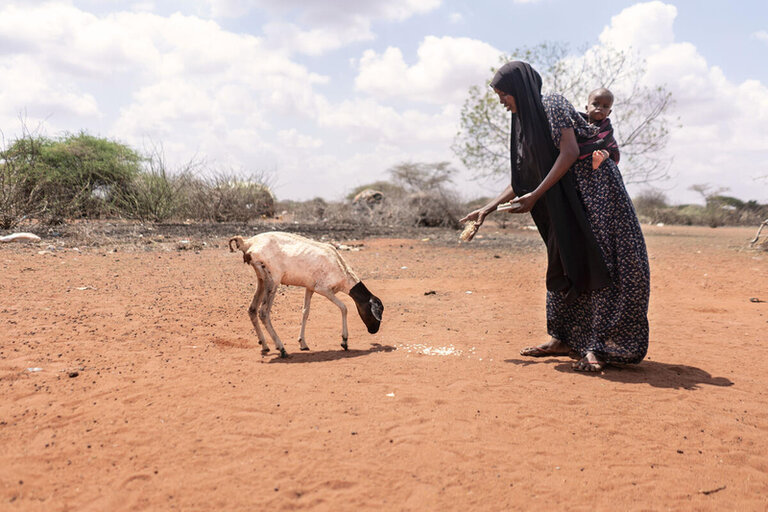 Corno d’Africa: mancano piogge e risorse, milioni di famiglie ogni giorno più vicine alla catastrofe