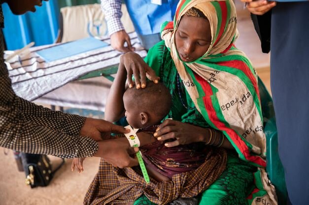 Nuovo rapporto ONU: peggiora la crisi alimentare in 19 ‘punti caldi della fame’ mentre la carestia minaccia il Corno d’Africa 