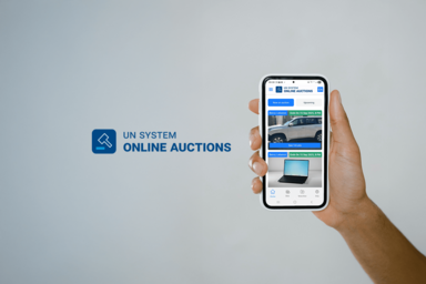 UN auction banner image