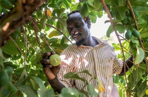 Clima: il WFP aiuta gli allevatori in Kenia ad adattarsi al clima che cambia