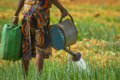 Acqua: un elemento chiave per la vita e la sicurezza alimentare mondiale