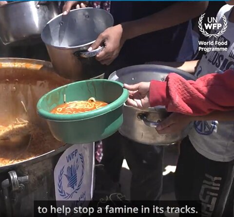 Aggiornamenti su Gaza: il WFP risponde alla crisi alimentare mentre l'incursione di Rafah taglia l'accesso al deposito