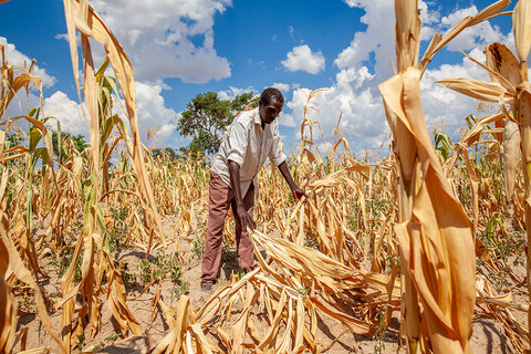 Africa meridionale, raccolti bruciati e fame per la siccità causata da El Niño 