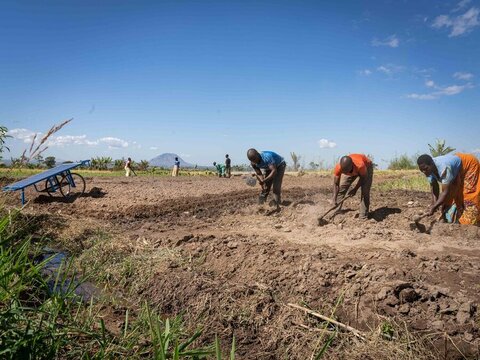 Africa meridionale, raccolti bruciati e fame per la siccità causata da El Niño 