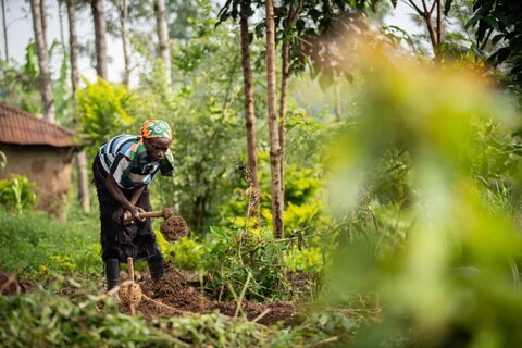 Un rivoluzionario bioerbicida contro la fame in Kenya