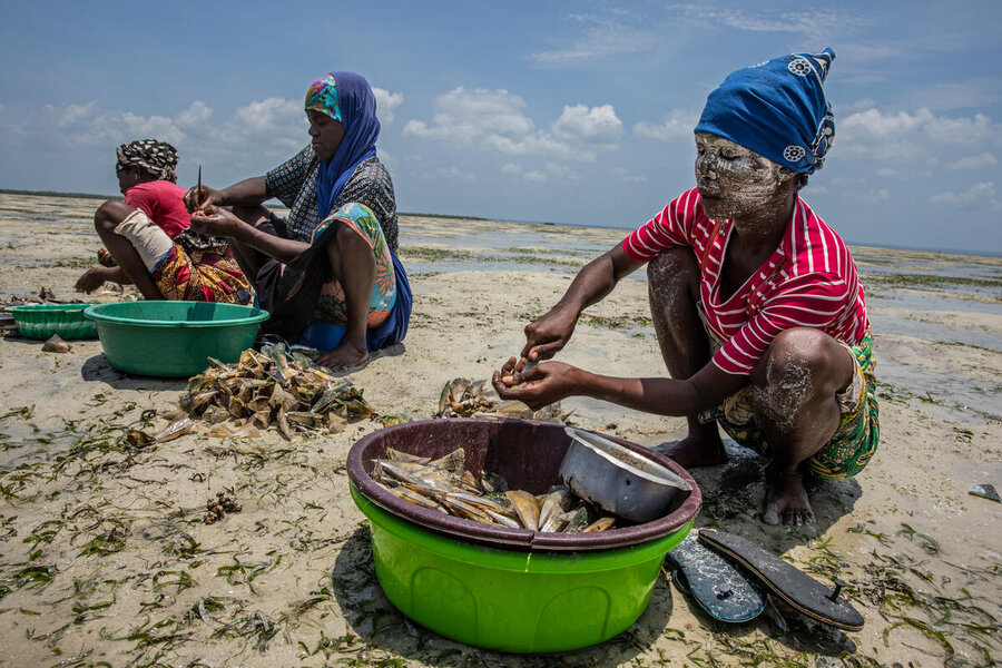 Salima (R) and her colleagues remove shells of seafood they will sell on Ibo Island, Mozambique. Photo: WFP/Gabriela Vivacqua