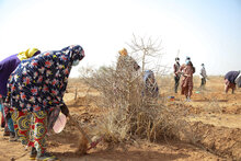 Peggiora la crisi alimentare nel Sahel tra crescente instabilità e sfollamenti. Allarme del capo del WFP. 