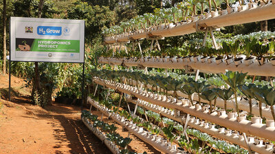 A Kibera, in Kenia, il WFP ha implementato l’agricoltura idroponica alla scuola elementare Olympic, con grande partecipazione degli studenti e della comunità locale.  WFP/Martin Karimi